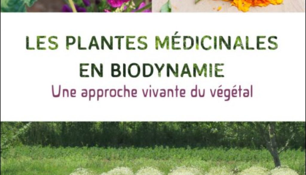 Livre Plantes médicinales MABD