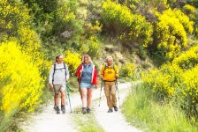 JRE-17-JUIN-23(1) (003)rando2