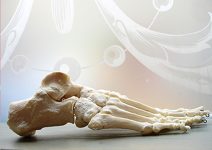 2026 02 04 pied Jessie pour article du site