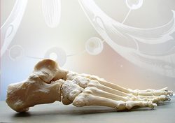 2026 02 04 pied Jessie pour article du site